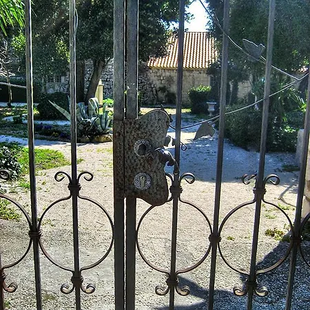 Apartment By Osibov, Diamondfish