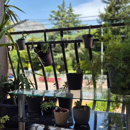 By Osibov, Diamondfish Kastela